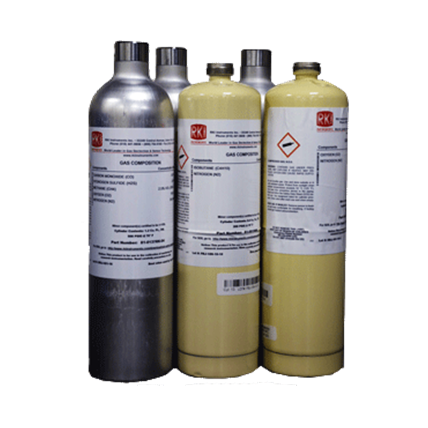 SPAN GAS CALIBRATION RIKEN KEIKI